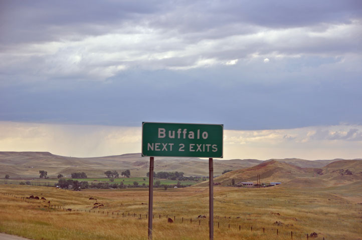 Buffalo