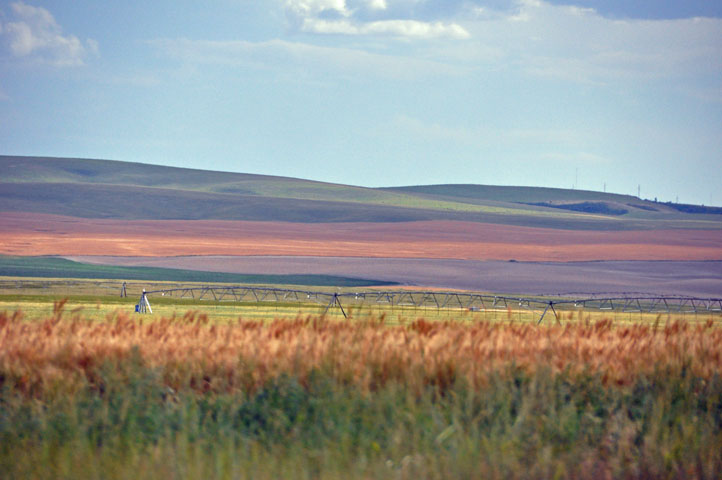 Field Stripes