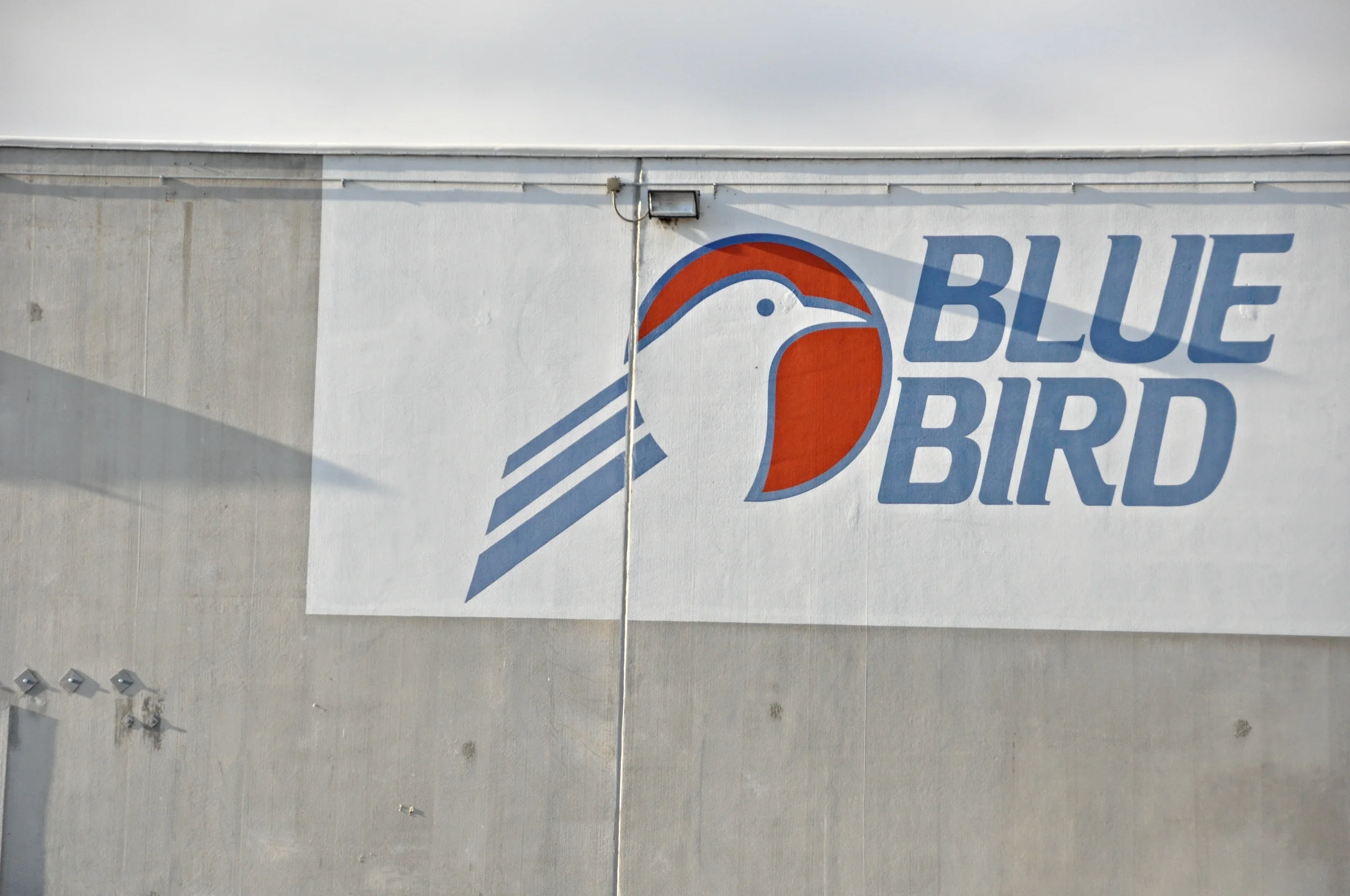 Blue Bird