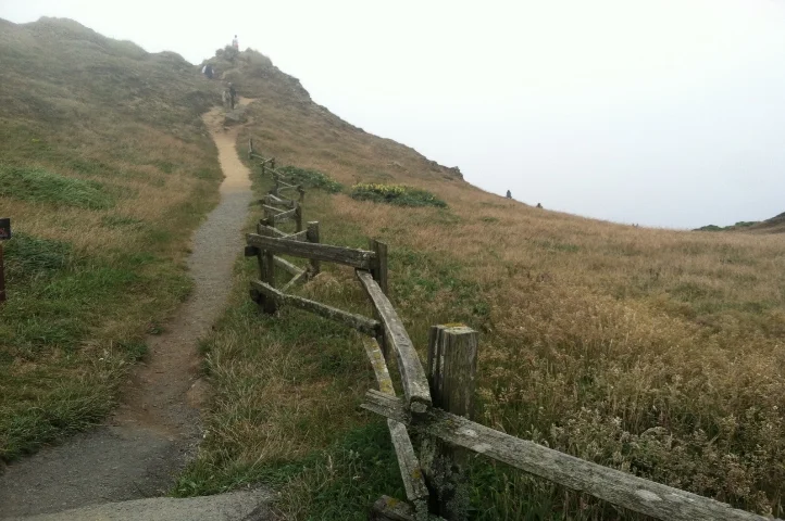 Fence Pt Reyes