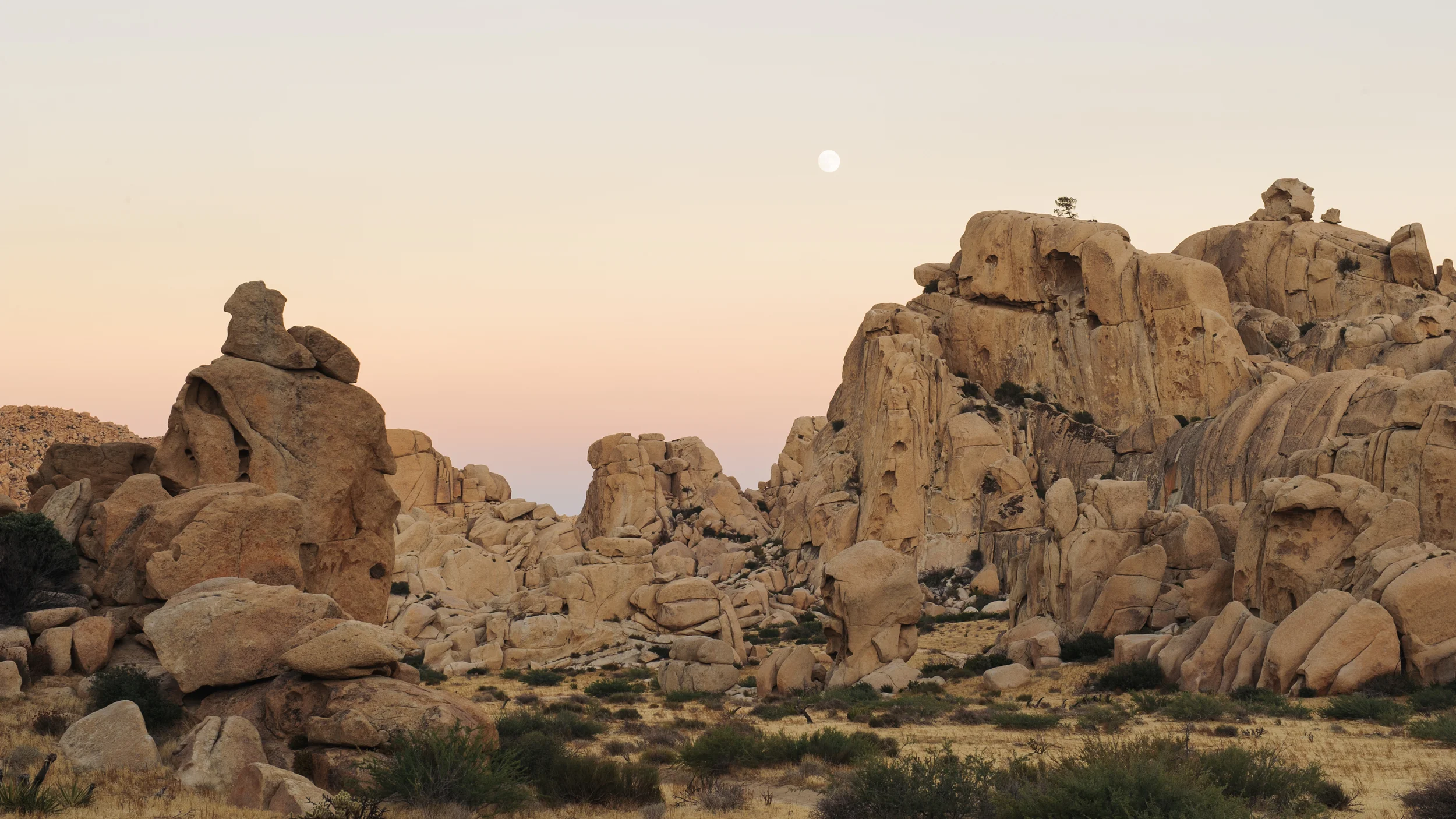 Valley of the Moon