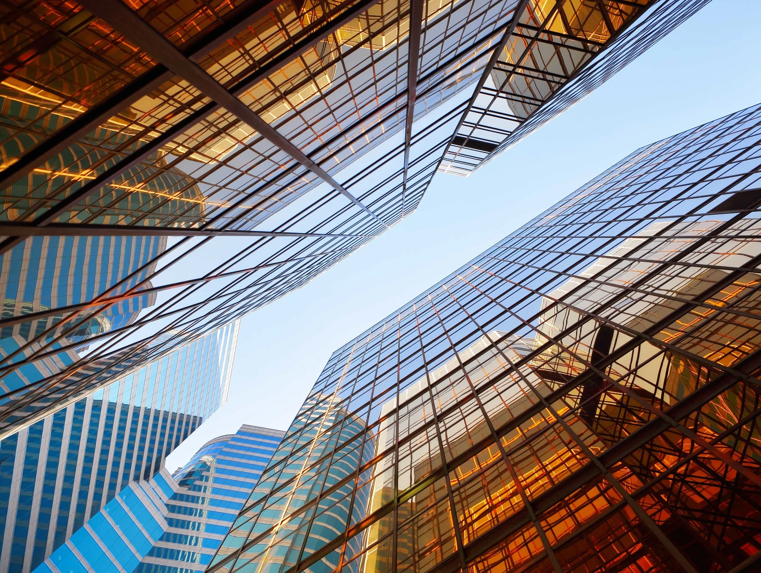  Solutions that Demonstrate Expertise in Risk Management 
