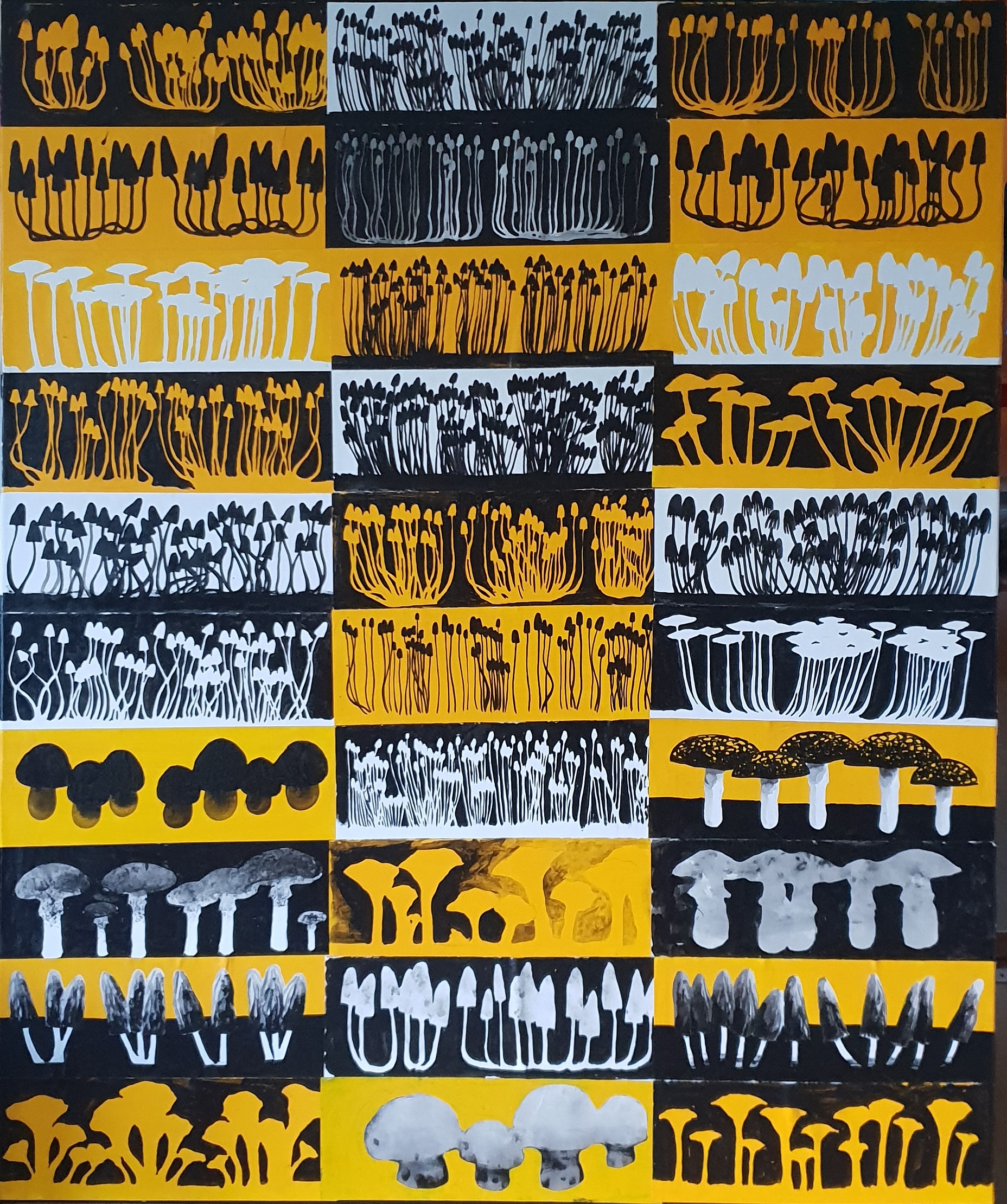 Fungi on Yellow