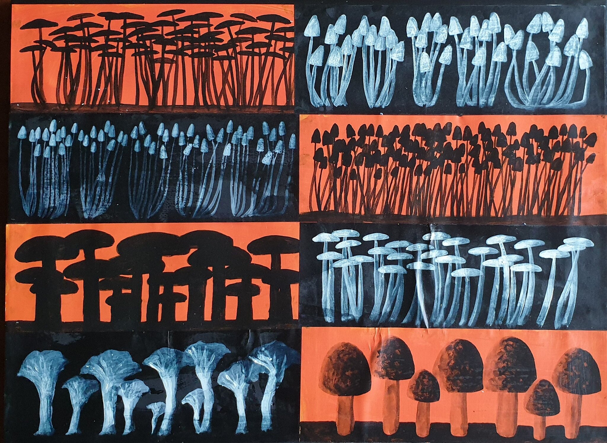 Fungi Danica No.1