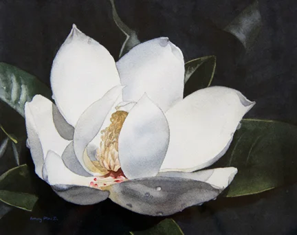 Magnolia2_Small.jpg