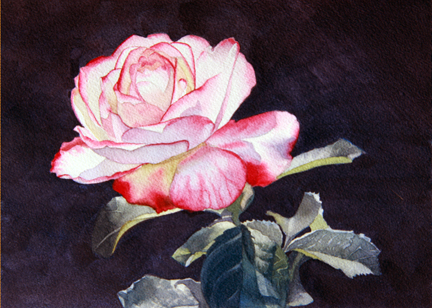 Rose_Small.jpg