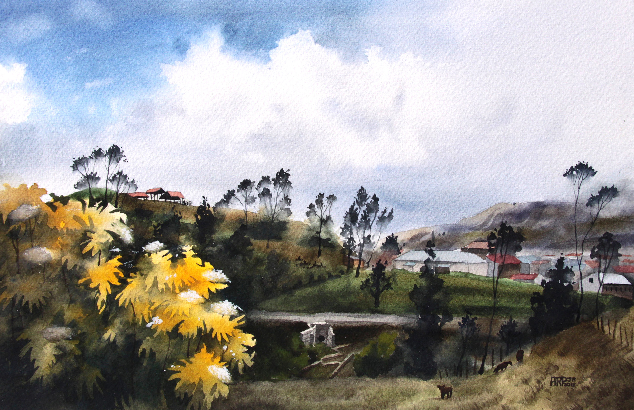 EcuadorianLandscape4.jpg