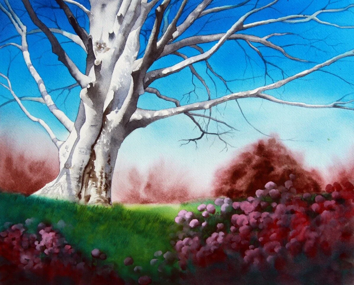 Biltmore Tree • 16x12" • Watercolor 