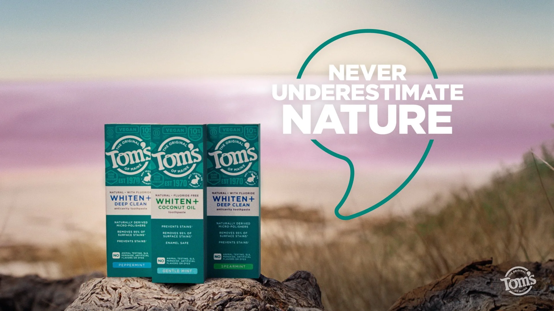 Tom's of Maine Whiten+ Toothpaste. Never Underestimate Nature. It's hard to believe that natural toothpaste can effectively whiten teeth, but nature is full of incredible surprises that prove the impossible possible.