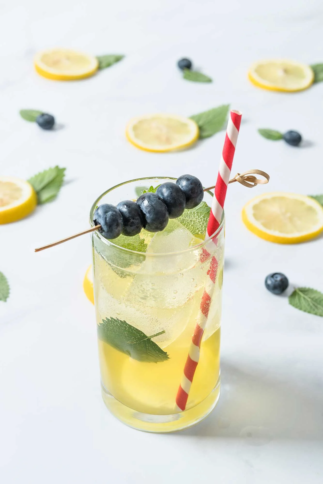 Lemon Blueberry Gin (Styling & Photography, Suzanne Clements)