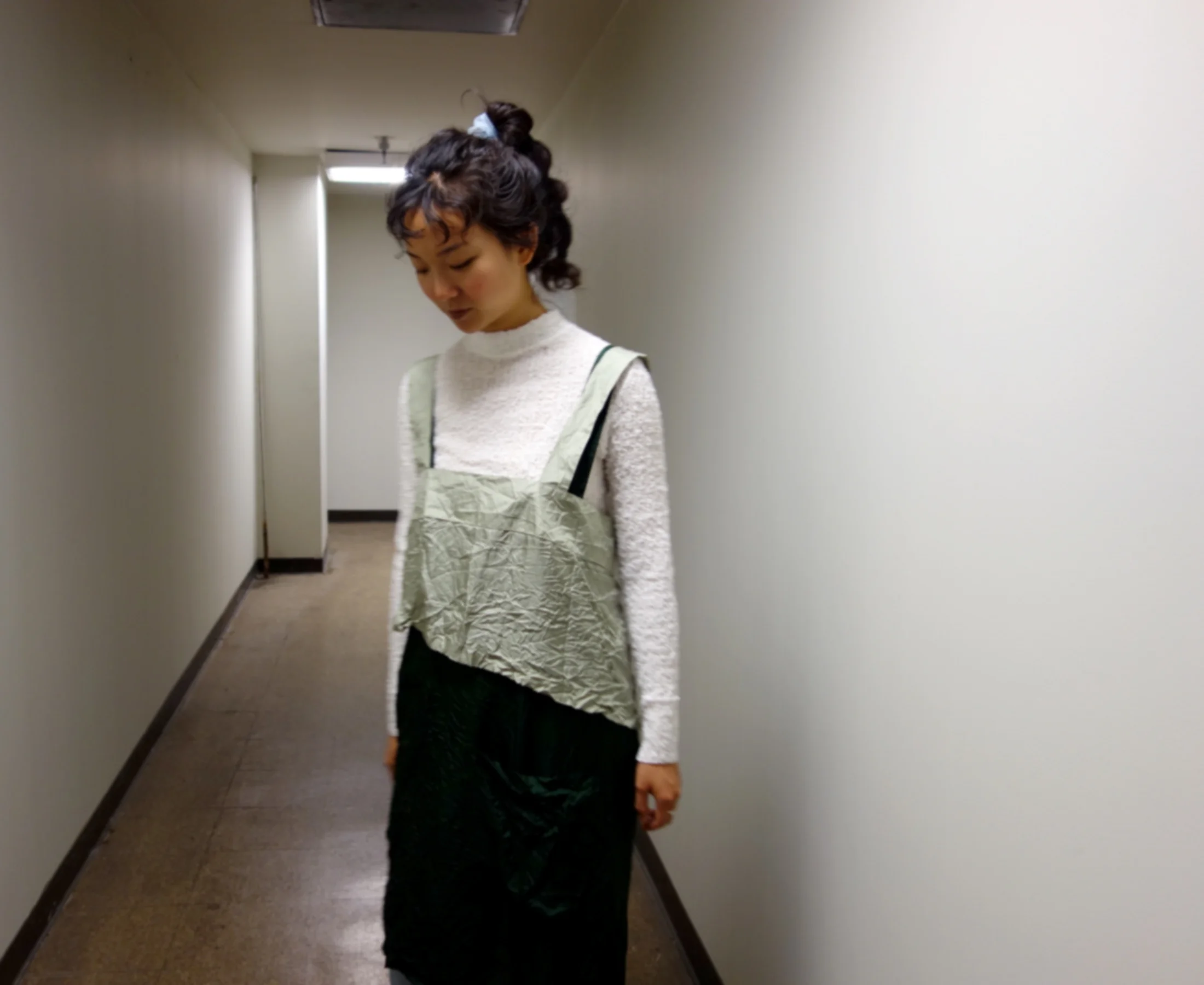RSfw17full.blur2.jpg