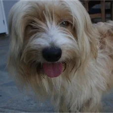 Bailey