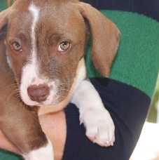 Delilah