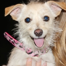 Etta