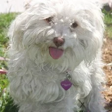 Harriet