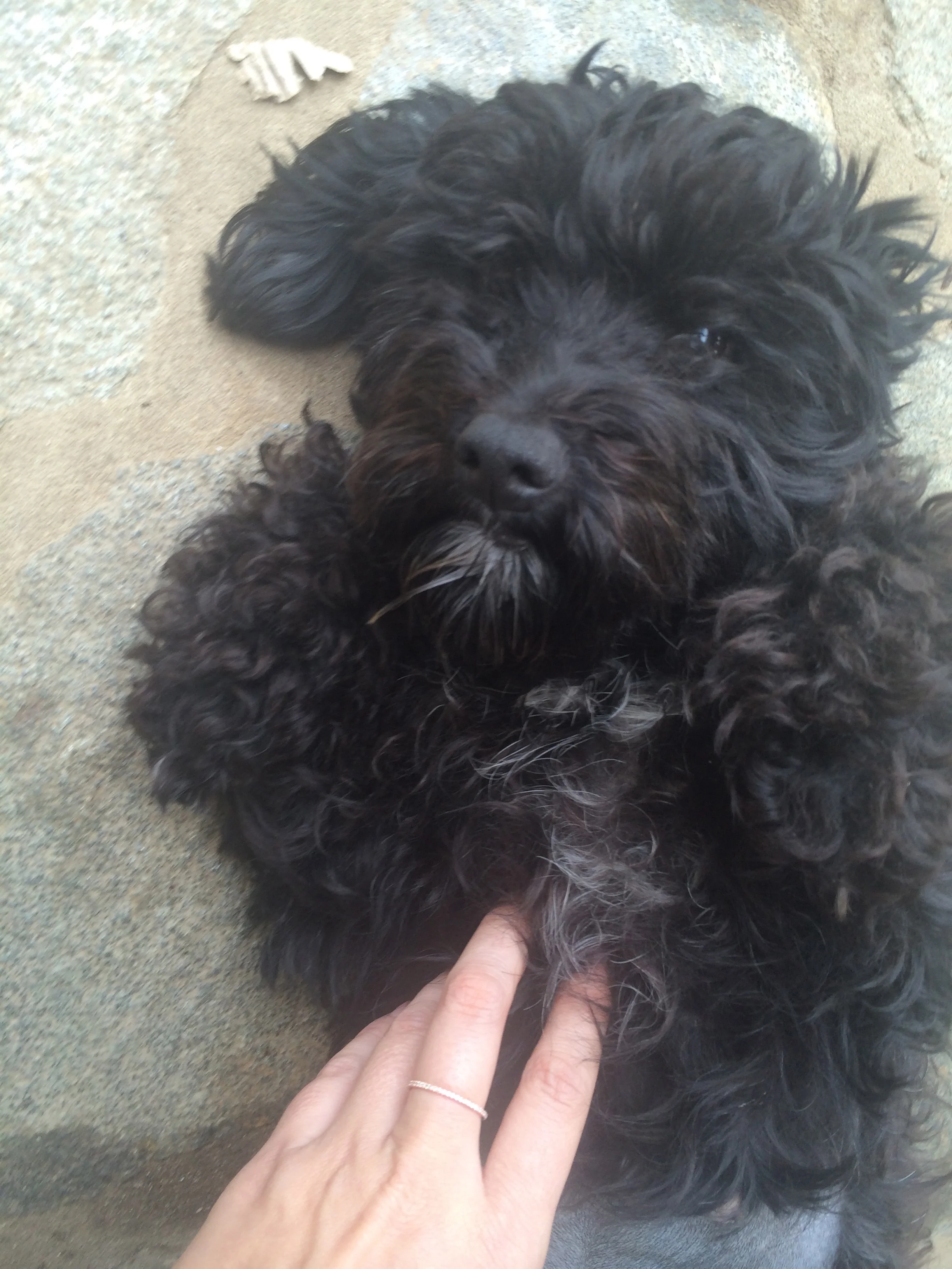  The day I met Winnie