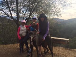 Nellie on her very first hike!
Normal
0
false
false
false
EN-US
JA
X-NONE
/* Style Definitions */
table.MsoNormalTable
{mso-style-name:"Table Normal";
mso-tstyle-rowband-size:0;
mso-tstyle-colband-size:0;
mso-style-noshow:yes;
mso-style-priority:99;
mso-style-parent:"";
mso-padding-alt:0in 5.4pt 0in 5.4pt;
mso-para-margin:0in;
mso-para-margin-bottom:.0001pt;
mso-pagination:widow-orphan;
font-size:12.0pt;
font-family:Cambria;
mso-ascii-font-family:Cambria;
mso-ascii-theme-font:minor-latin;
mso-hansi-font-family:Cambria;
mso-hansi-theme-font:minor-latin;}