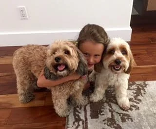 Nellie, her human sister, and Ruby … three peas in a pod!
Normal
0
false
false
false
EN-US
JA
X-NONE
/* Style Definitions */
table.MsoNormalTable
{mso-style-name:"Table Normal";
mso-tstyle-rowband-size:0;
mso-tstyle-colband-size:0;
mso-style-noshow:yes;
mso-style-priority:99;
mso-style-parent:"";
mso-padding-alt:0in 5.4pt 0in 5.4pt;
mso-para-margin:0in;
mso-para-margin-bottom:.0001pt;
mso-pagination:widow-orphan;
font-size:12.0pt;
font-family:Cambria;
mso-ascii-font-family:Cambria;
mso-ascii-theme-font:minor-latin;
mso-hansi-font-family:Cambria;
mso-hansi-theme-font:minor-latin;}