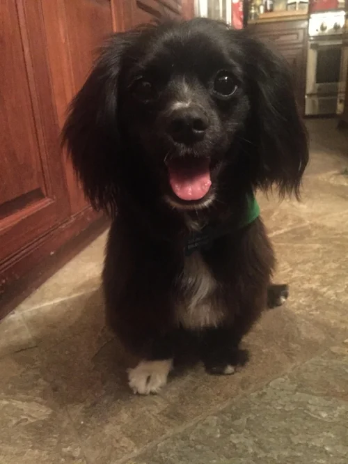 Hey there Cash. Looking good!