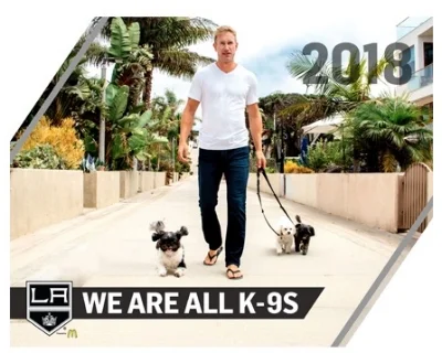 LA Kings.jpg