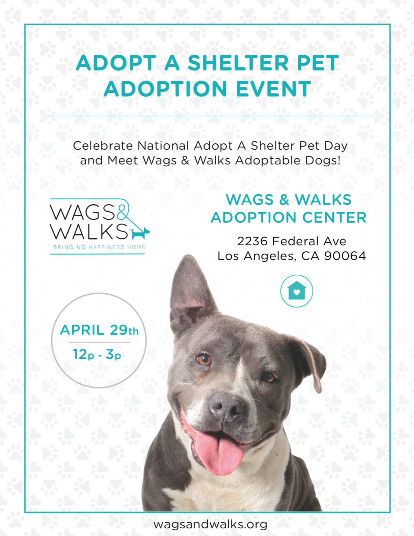 adoptashelterpet.jpg