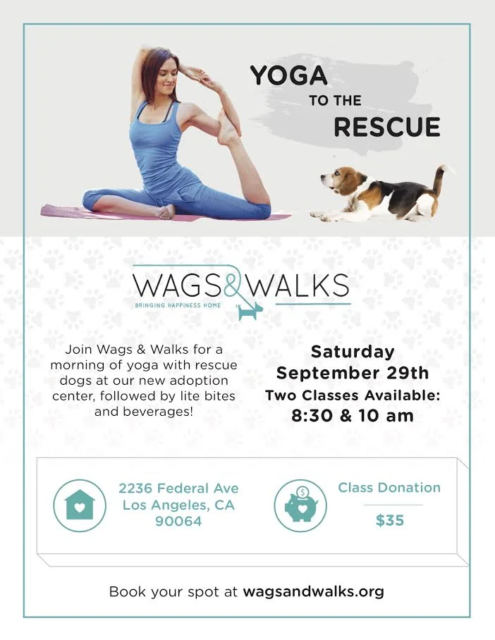 yogatotherescue4.jpg