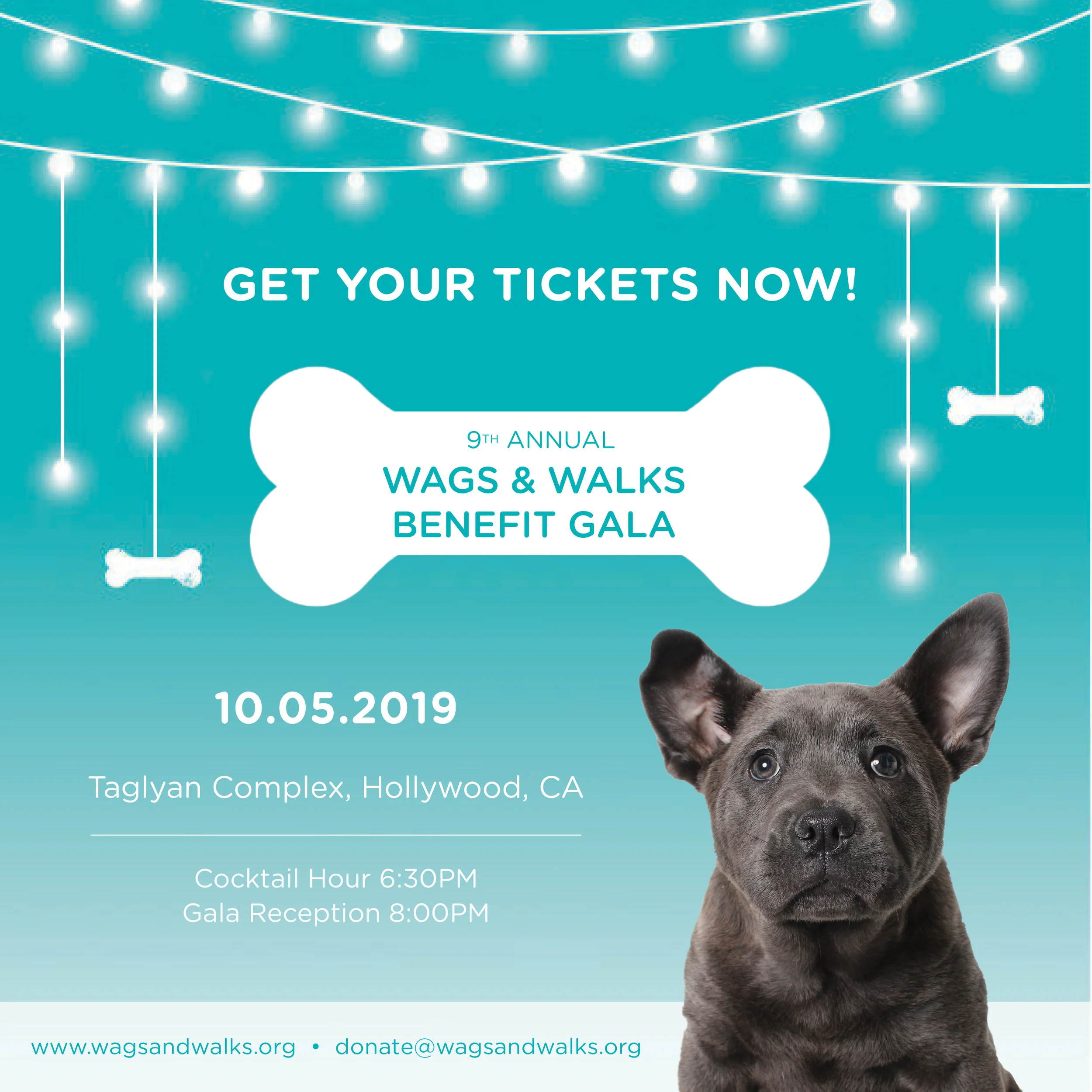 wwgala2019.jpg