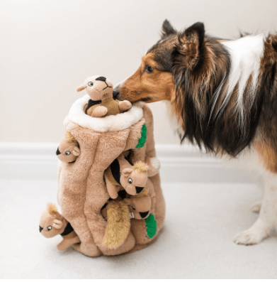 Outward Hound’s Hide and Seek Squirrel