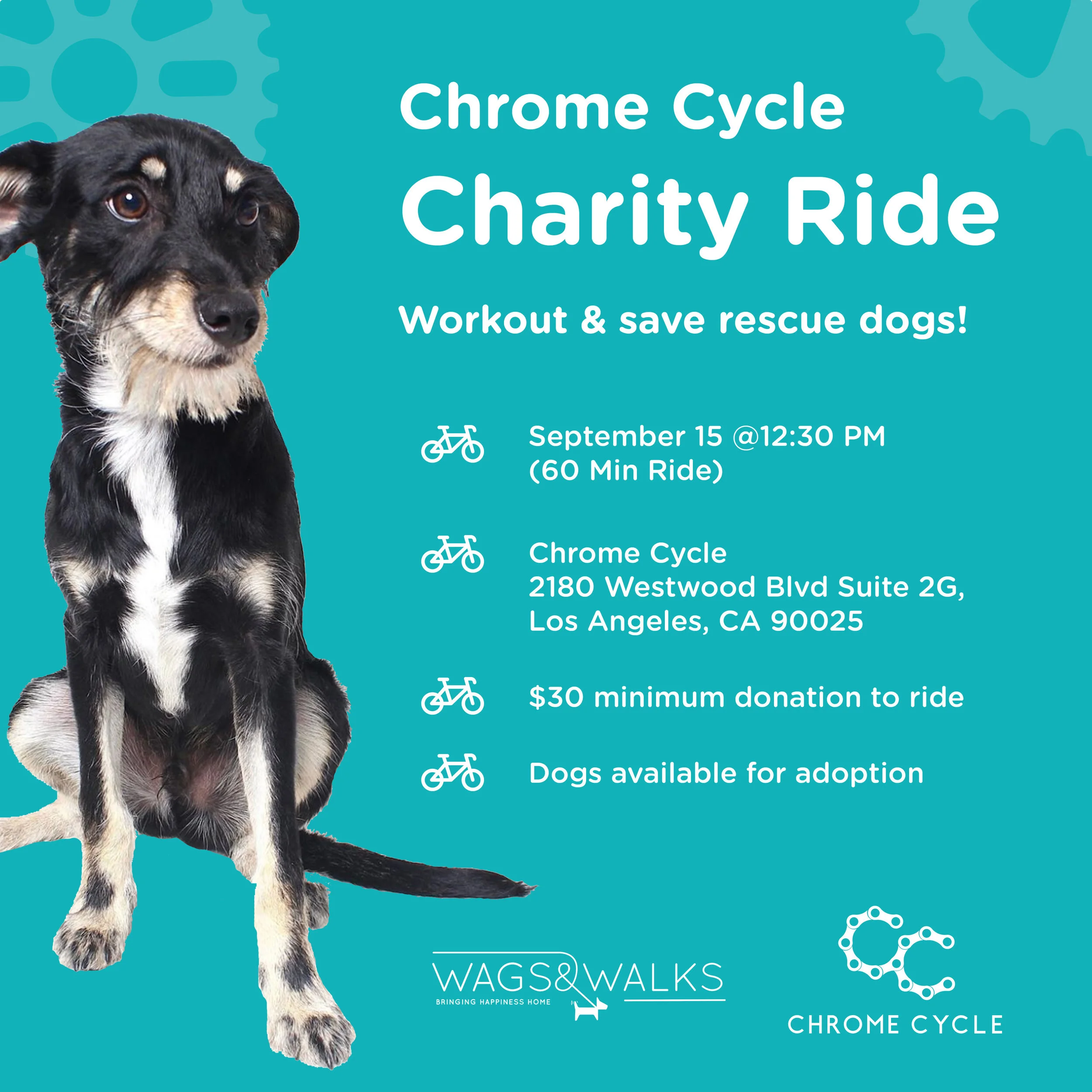 chromecycle.jpg