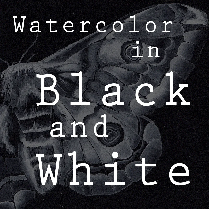 blackandwhite.jpg