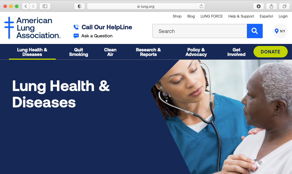 website o4.png
