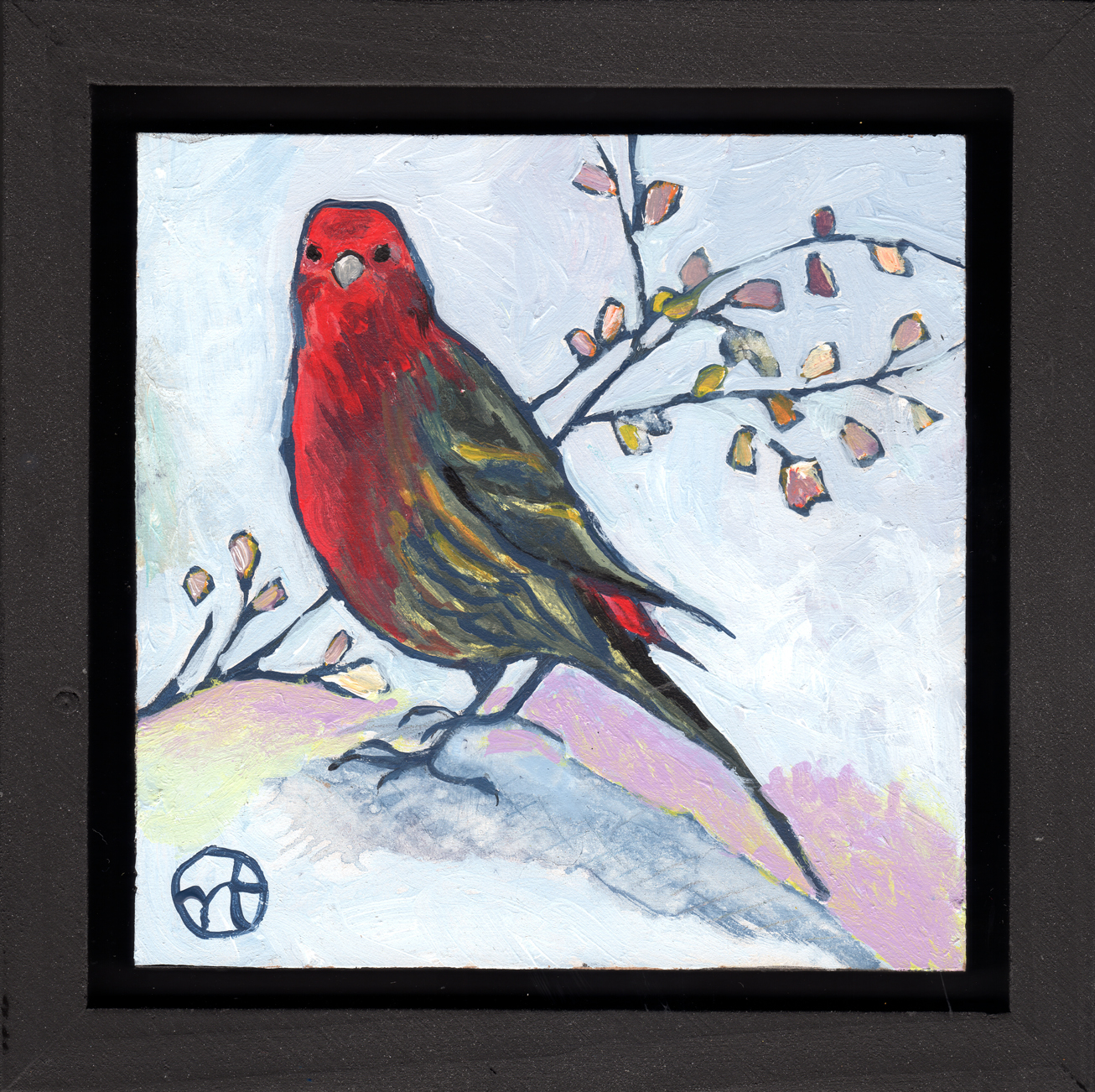 The house finch that visited my garden