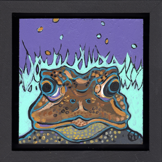 American Toad Portrait