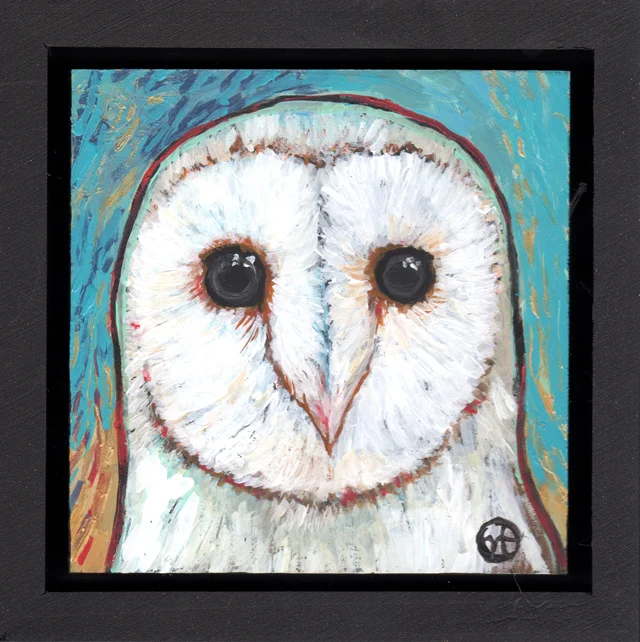 Barn Owl