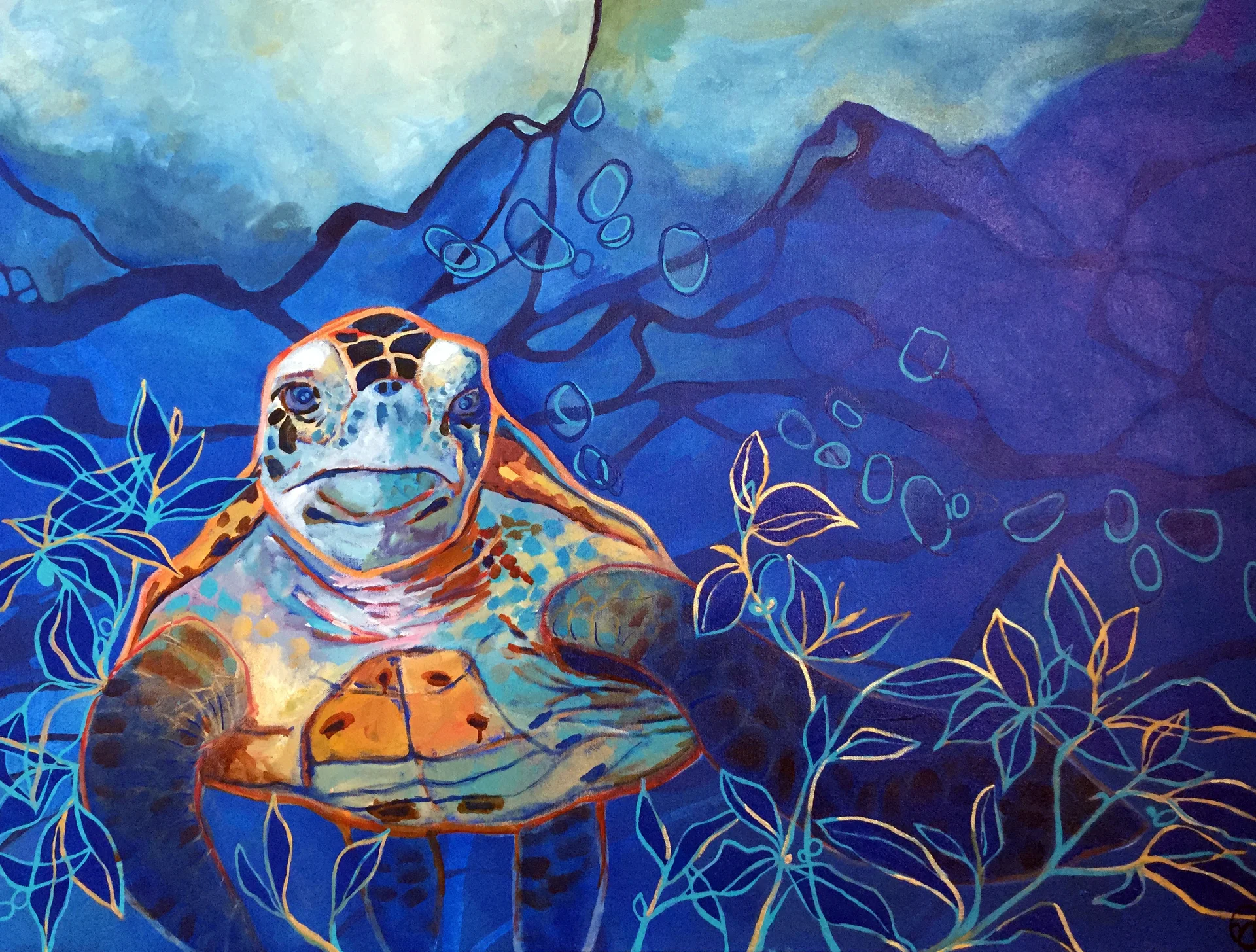 loggerhead-med.jpg