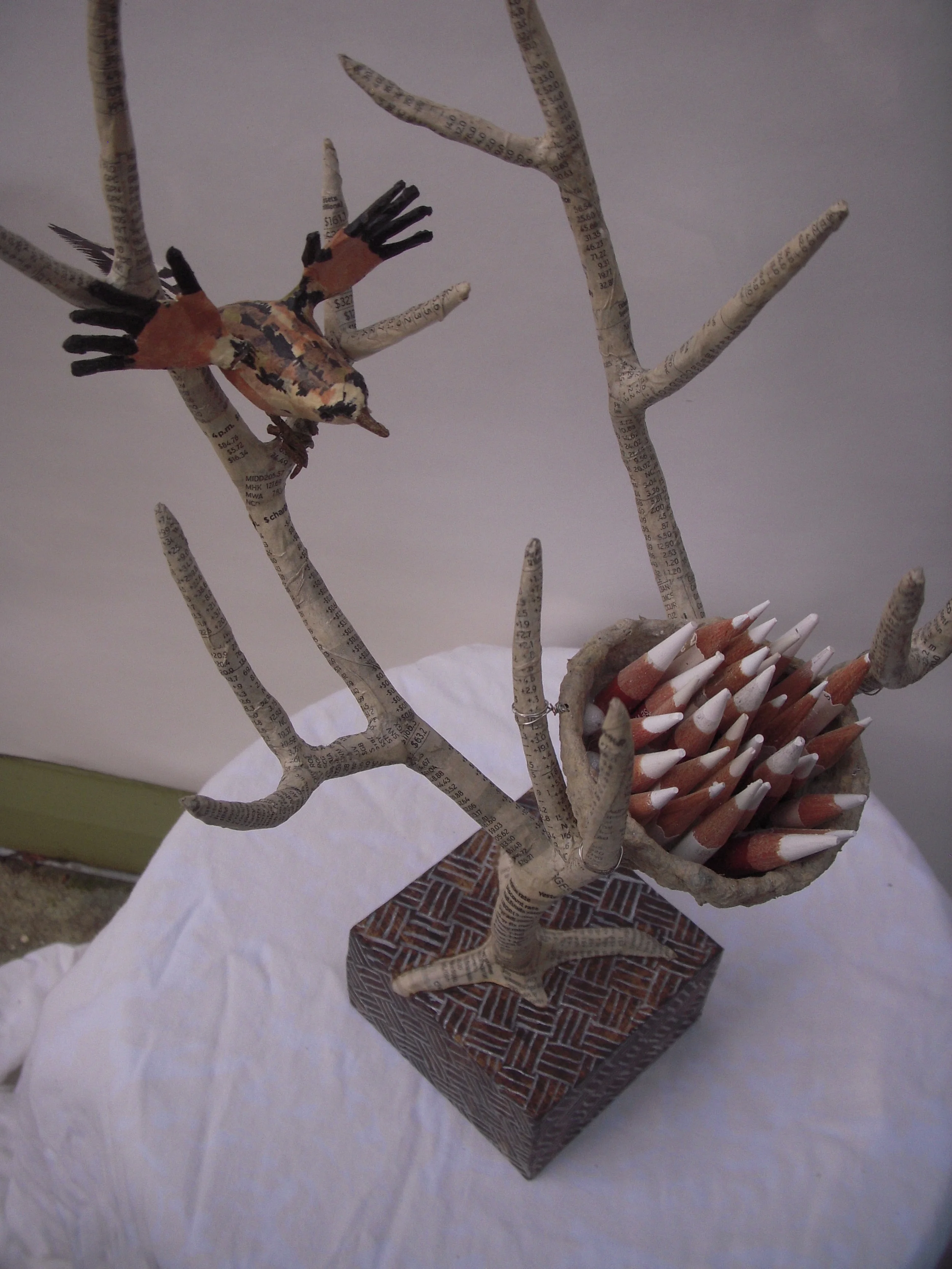 Nest XXXI