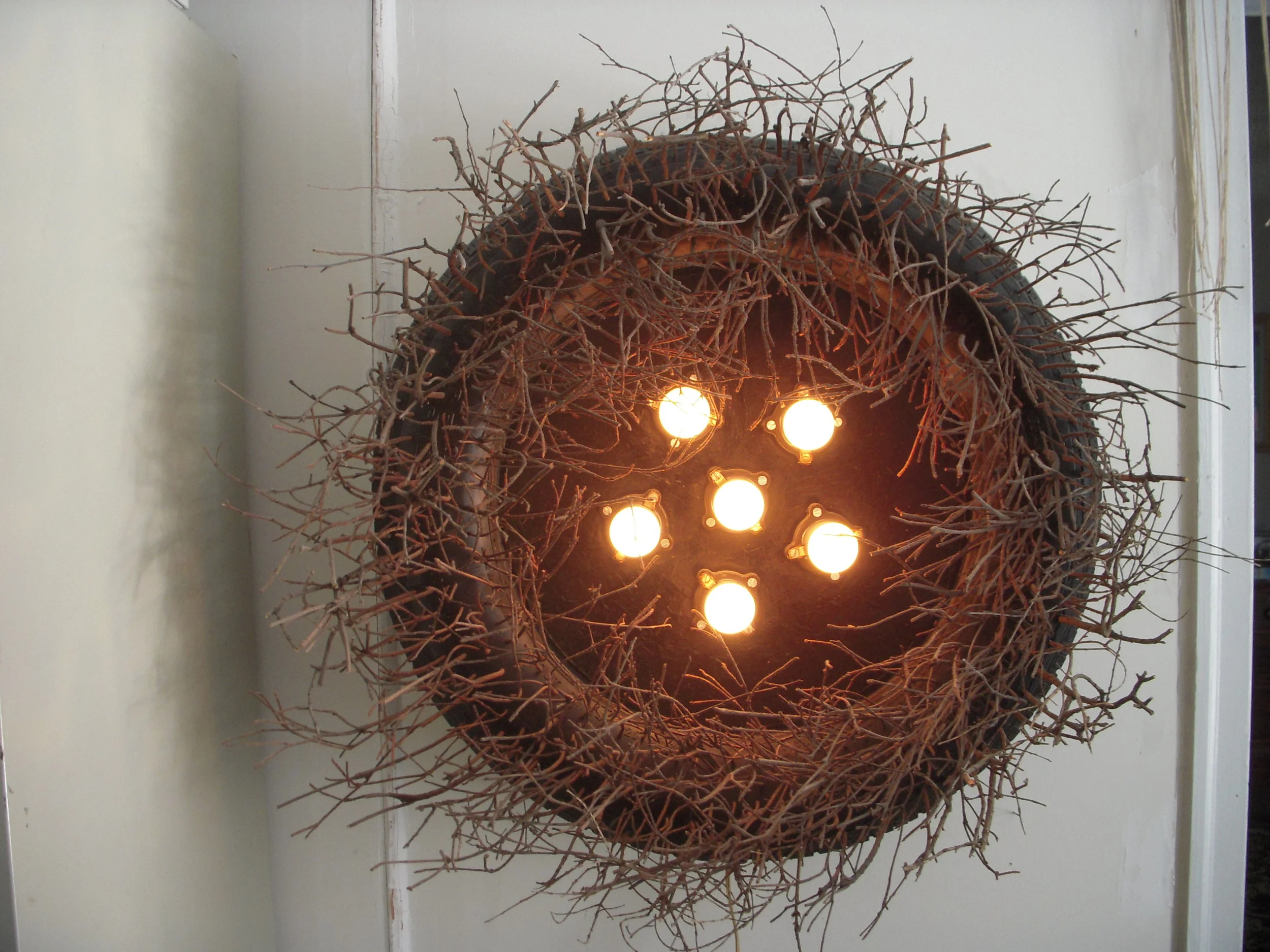 Nest XIX
