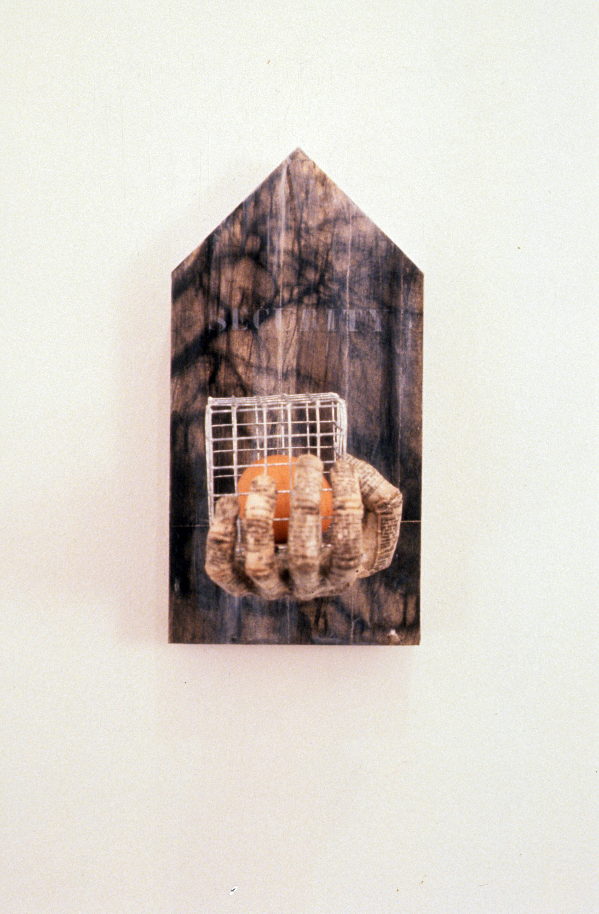 Nest XVIII