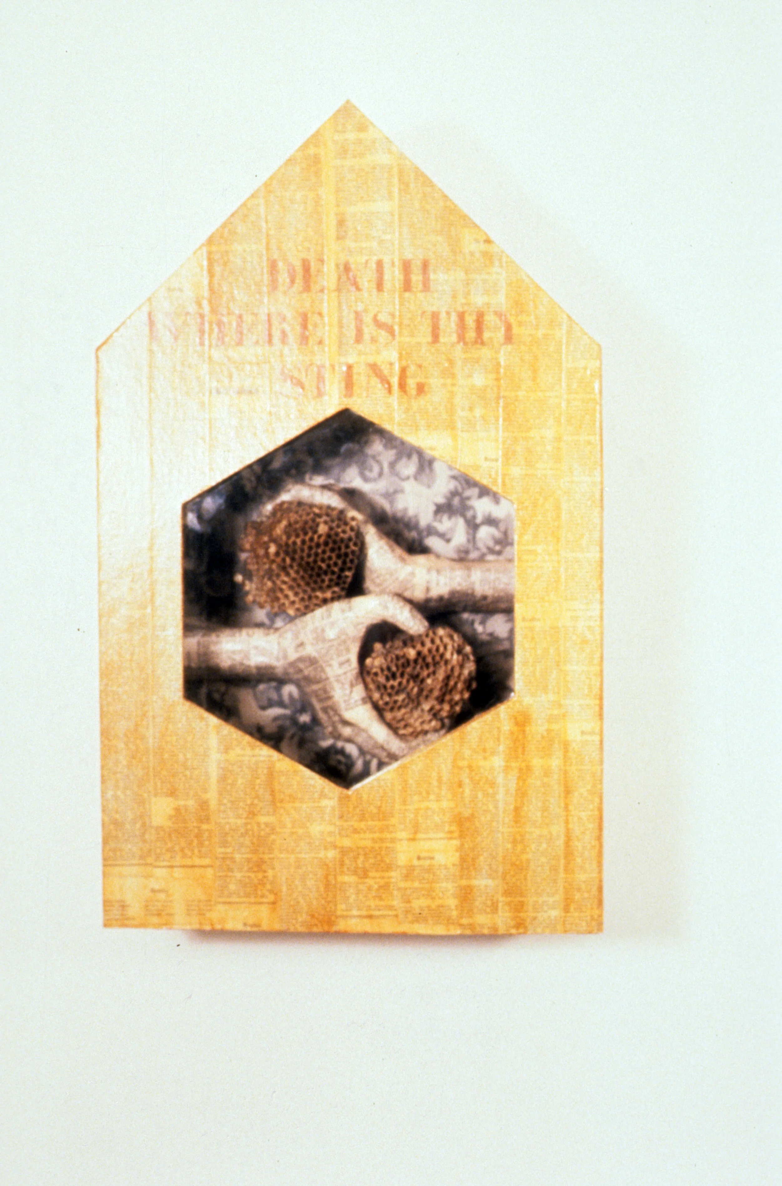 Nest XI