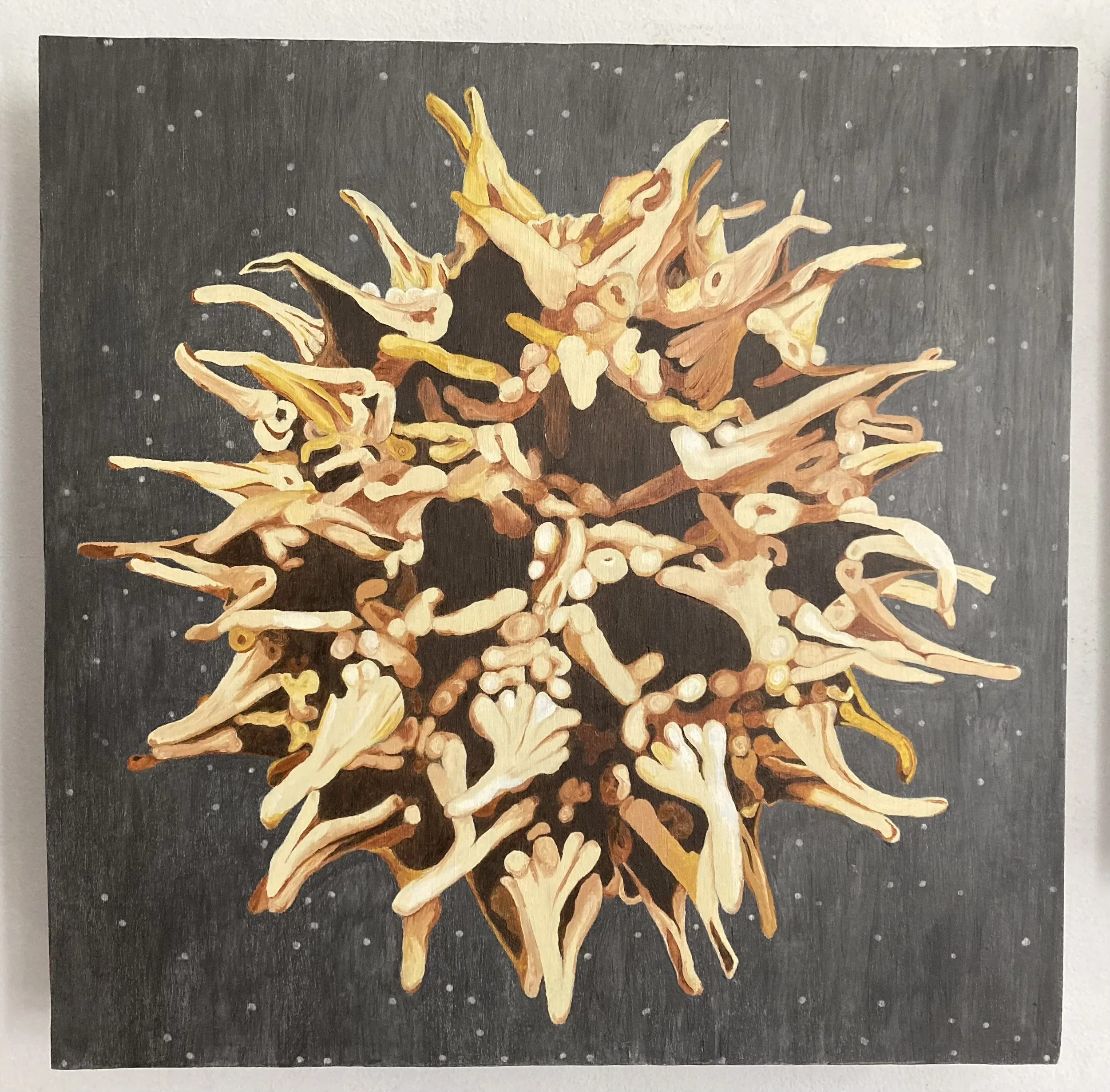 Gumball XII_6464.jpeg