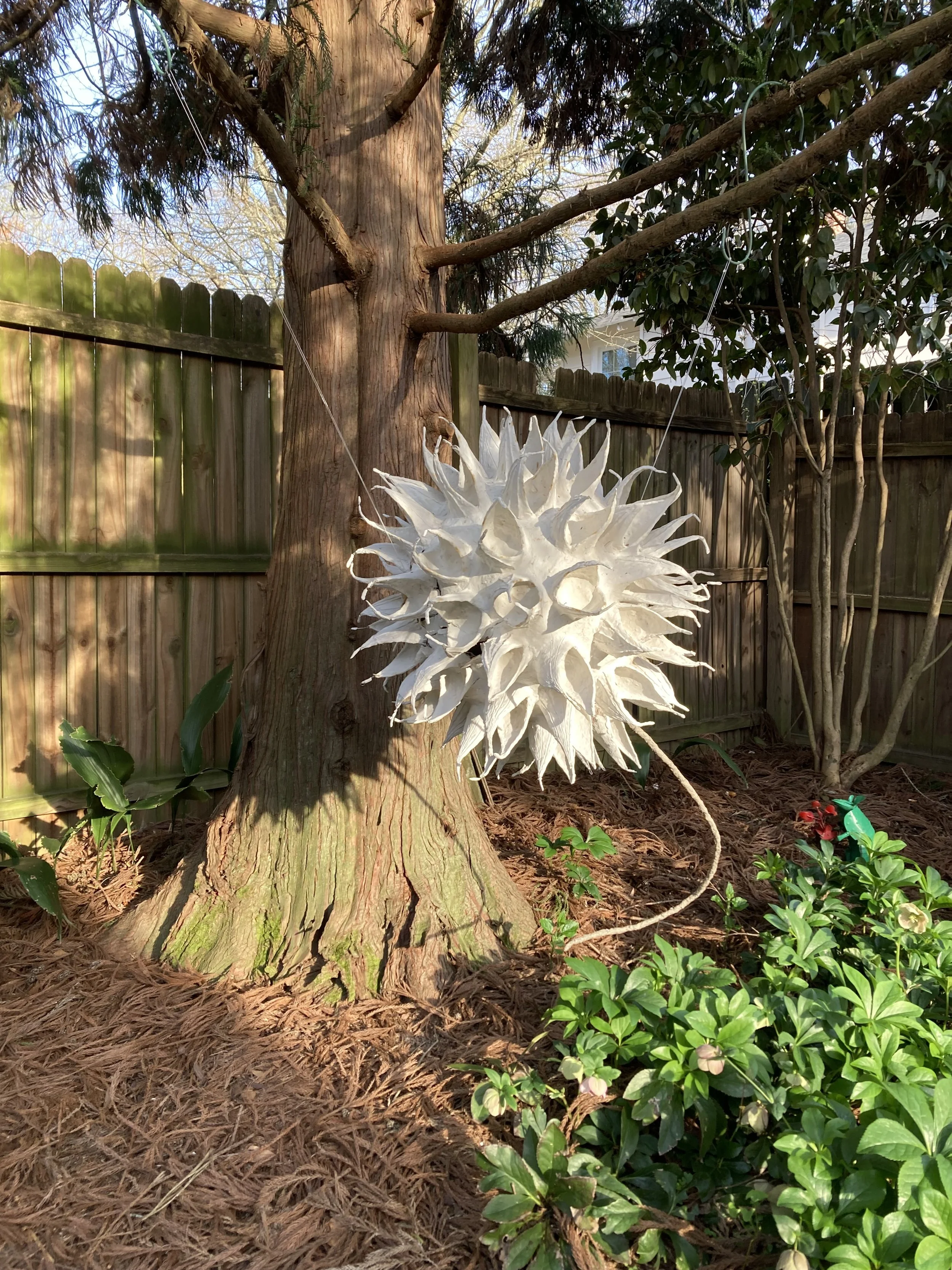 Gumball XXVII_9116.jpeg