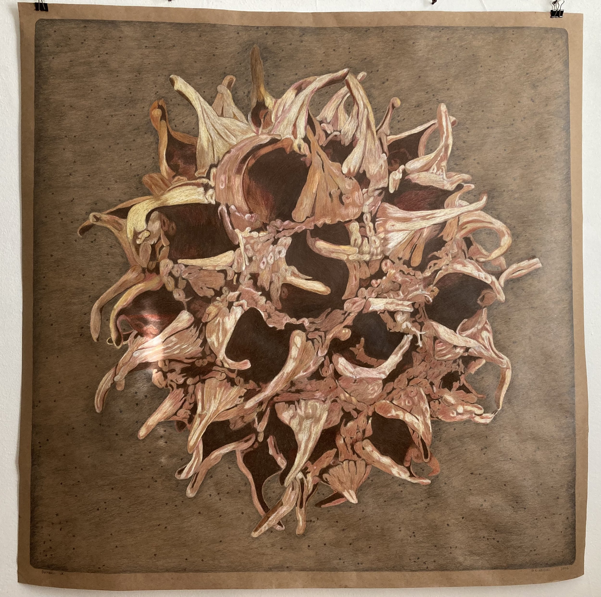 Gumball IX_6239.jpeg