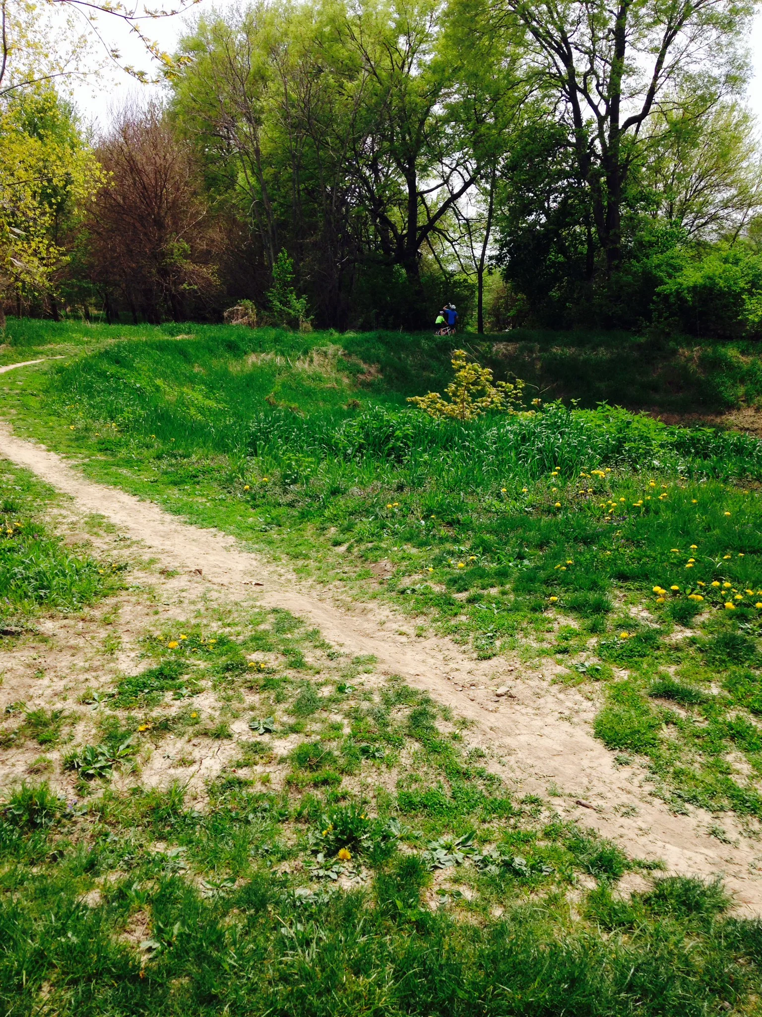 Lafayette's idea of a bike path?