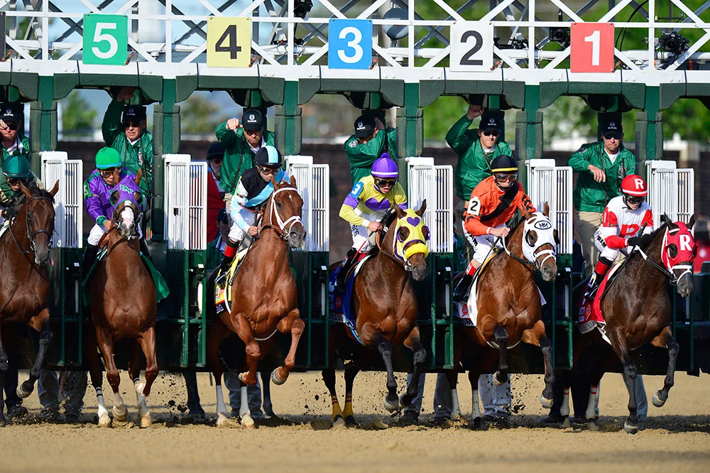 photo.Kentucky-Derby.2017.five-contenders.jpg