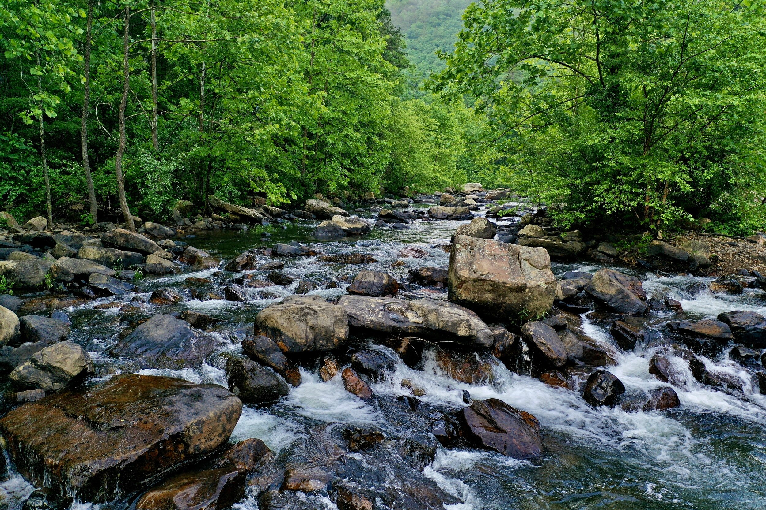 unsplash-image-5a3gboOg9qc.jpg