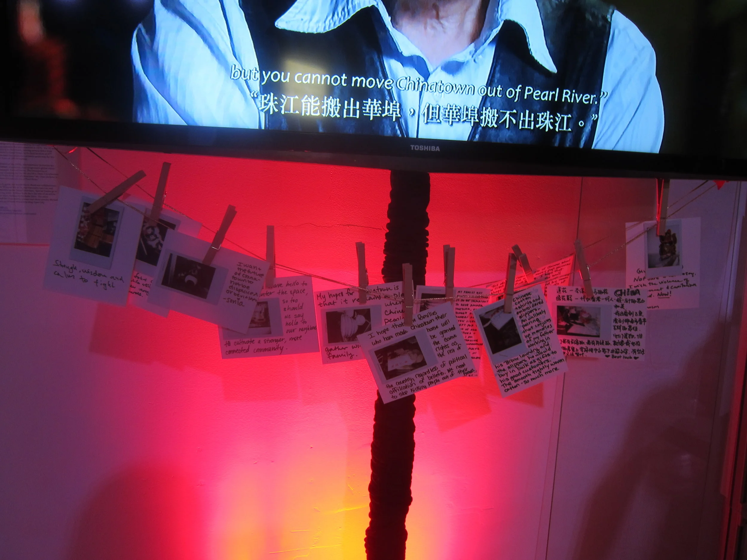  photo credit: Betty Yu 