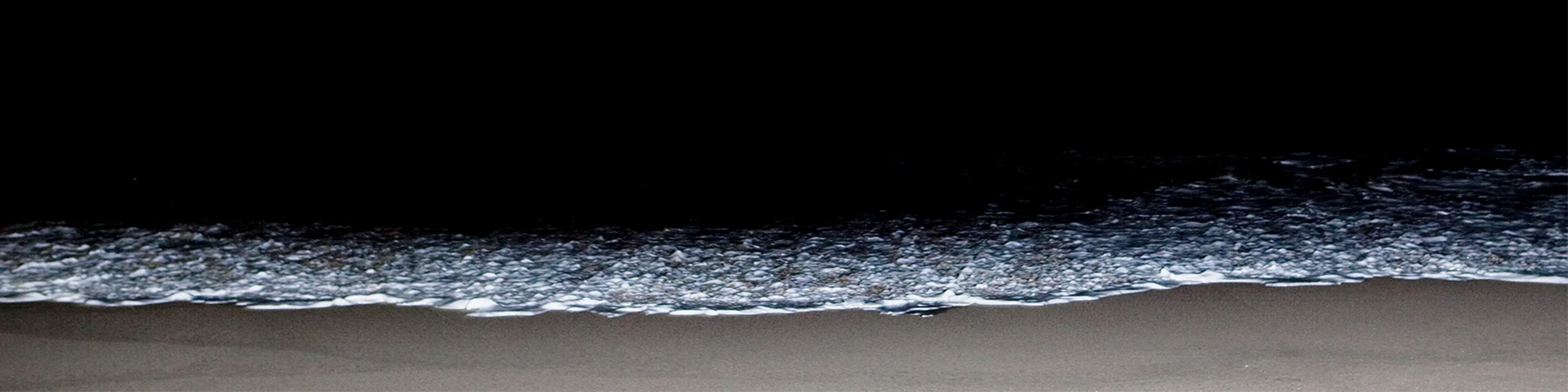 Waves Website Banner.jpg
