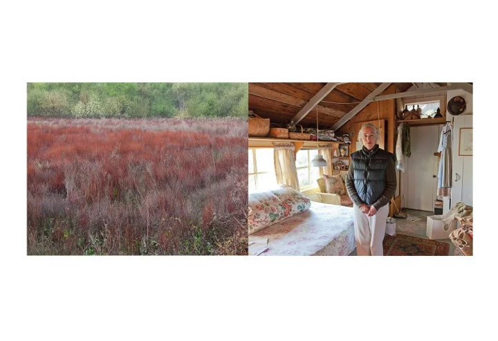 5 PamKMeadowDiptych.jpeg