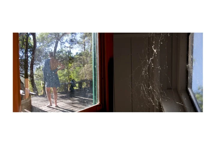 10 NinaCobwebs2.jpeg