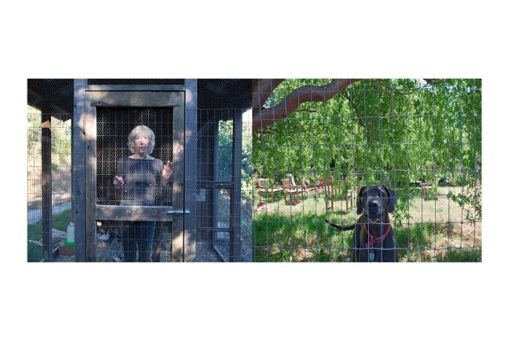 12 Leslie&Dog Diptych.jpeg